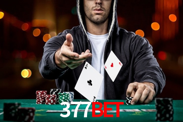 Bônus Generosos e Exclusivos no 377BET para Você!
